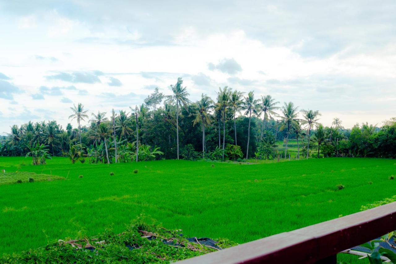 Nauna Villa Ubud Ngoại thất bức ảnh