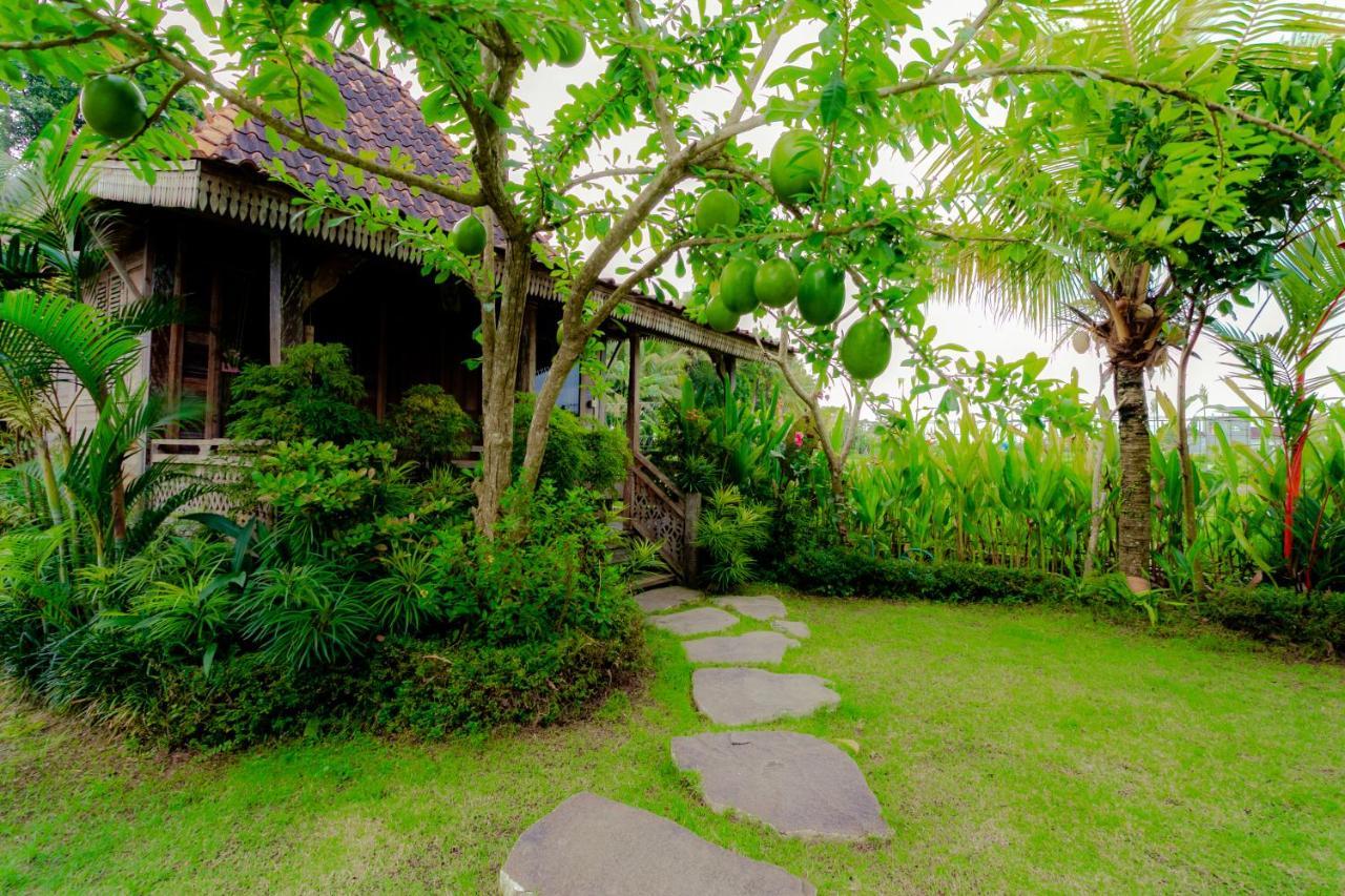 Nauna Villa Ubud Ngoại thất bức ảnh