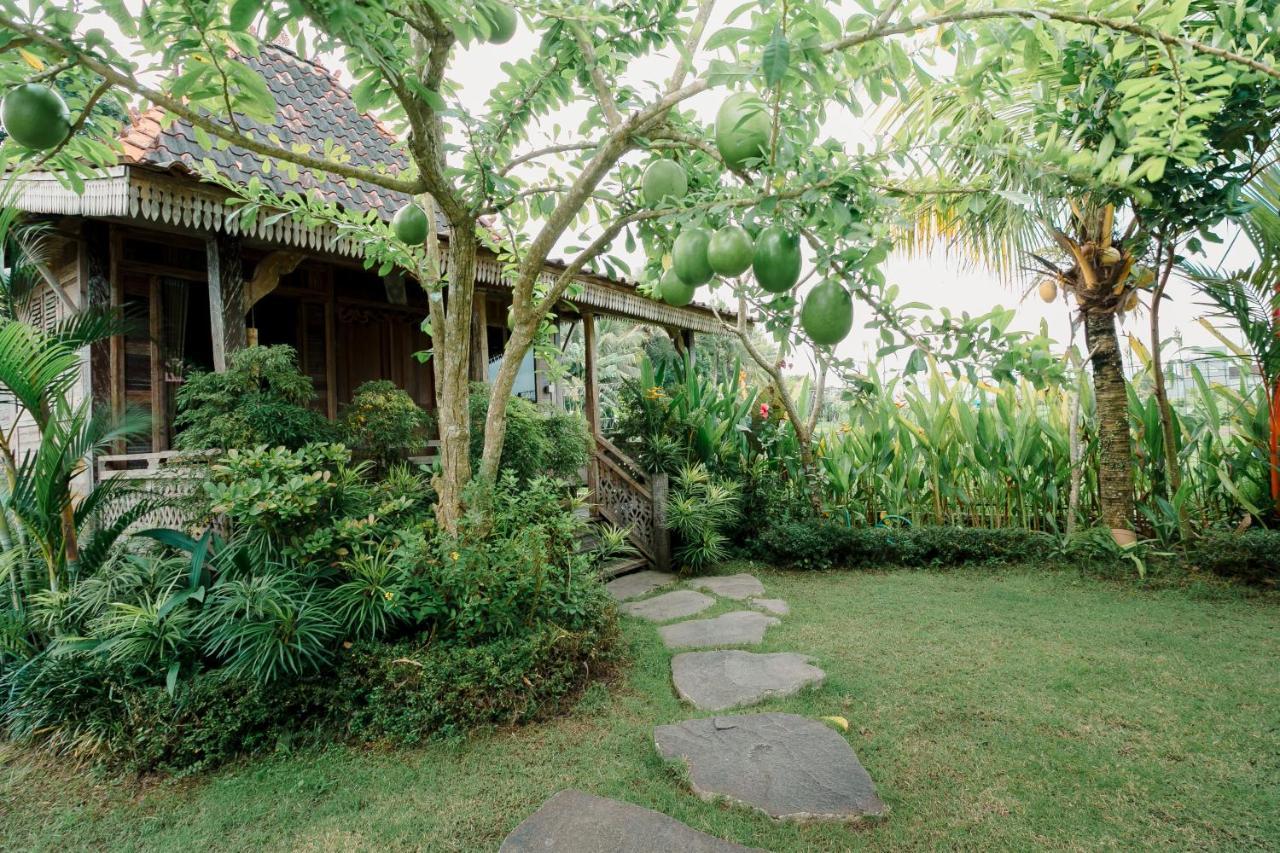 Nauna Villa Ubud Ngoại thất bức ảnh