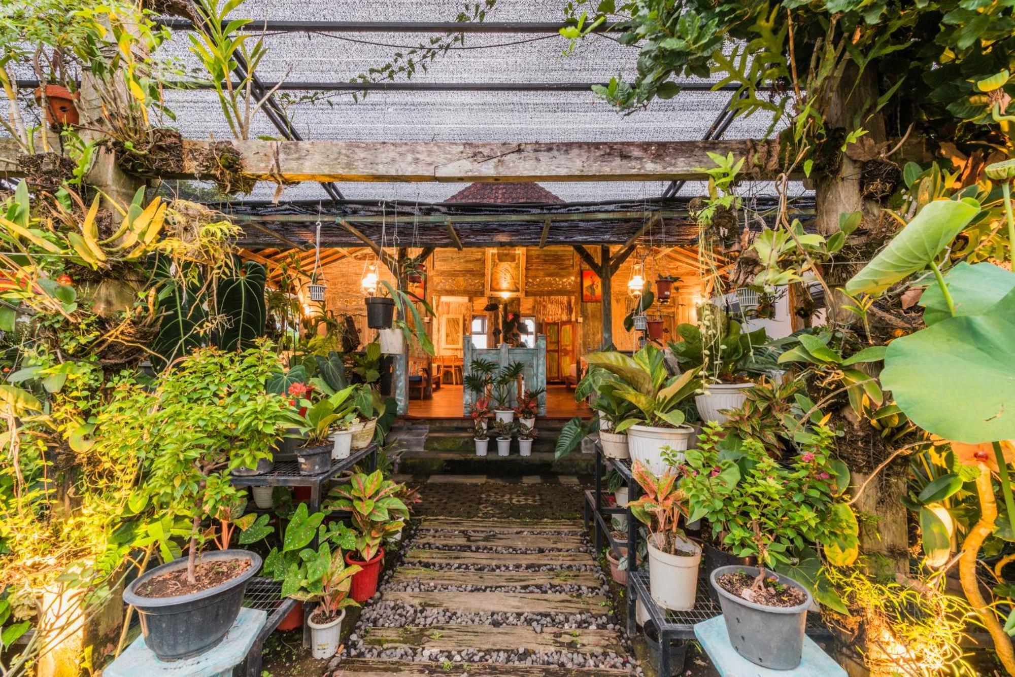 Nauna Villa Ubud Ngoại thất bức ảnh